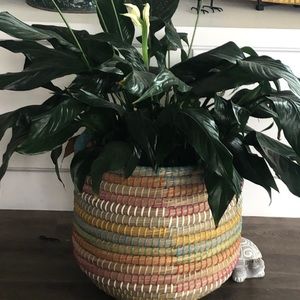 Meet your Posher, Kristine